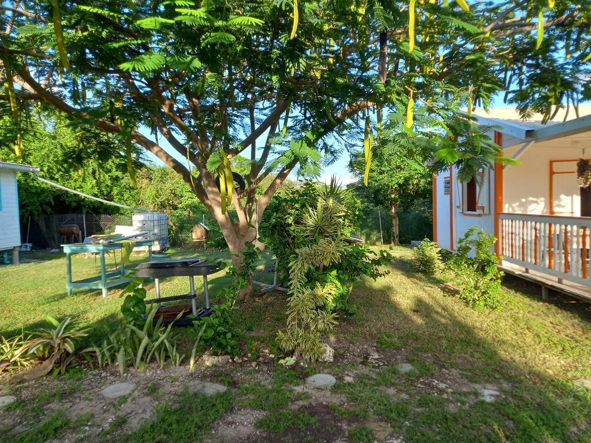 Bungalow au soleil Saint-Francois  Saint-Francois (Grande-Terre)